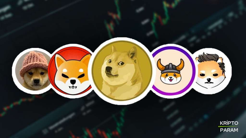 popüler köpek temalı memecoinler coinler