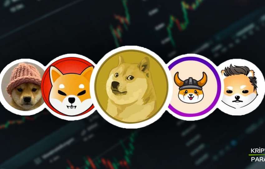 popüler köpek temalı memecoinler coinler